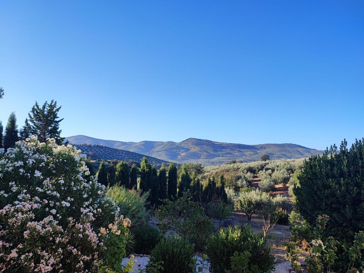 Cortijo Pennymaria Poolside Apartment Near Montefrio With Stunning Views المظهر الخارجي الصورة