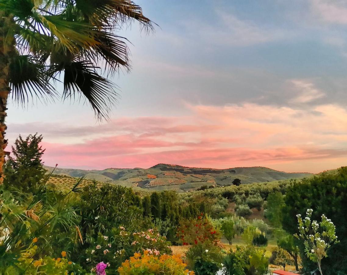 Cortijo Pennymaria Poolside Apartment Near Montefrio With Stunning Views المظهر الخارجي الصورة