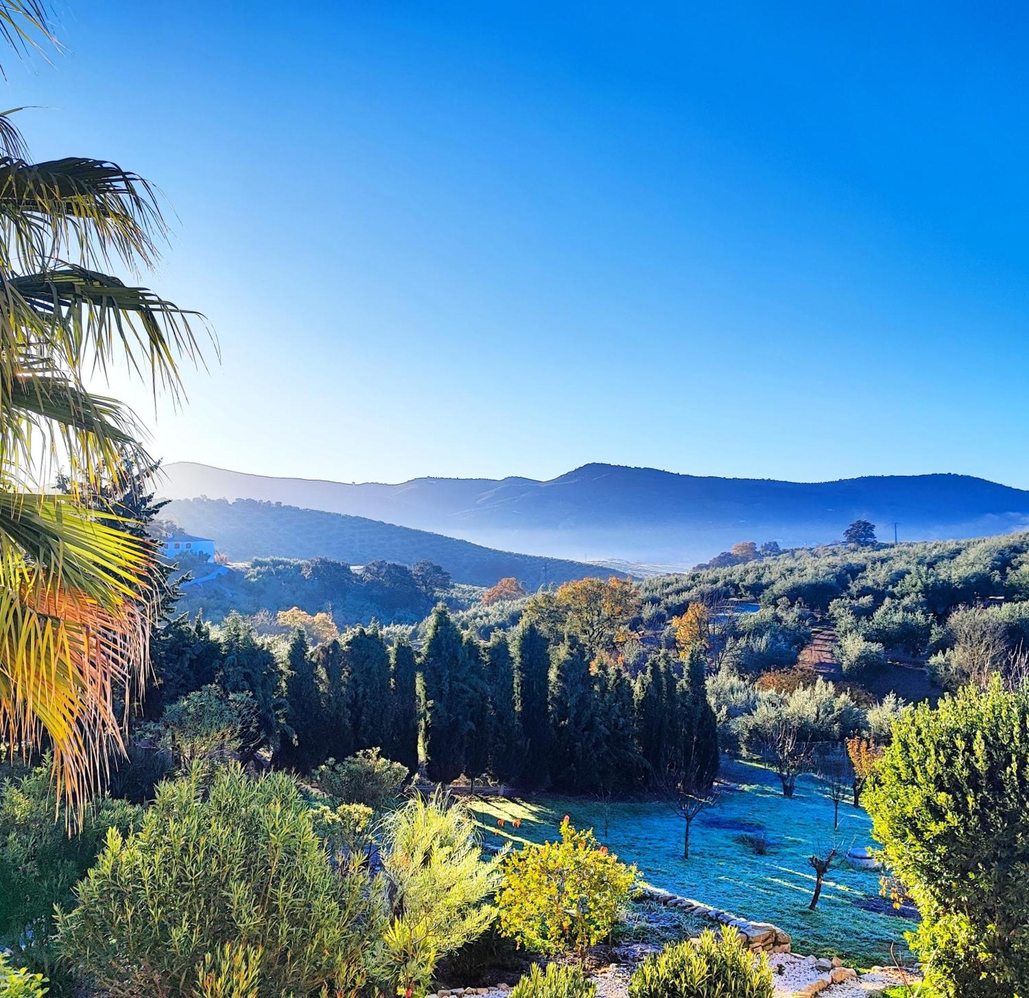 Cortijo Pennymaria Poolside Apartment Near Montefrio With Stunning Views المظهر الخارجي الصورة